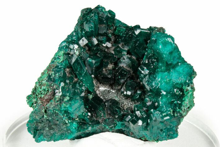 Gemmy Dioptase Crystal Cluster - Congo #332868